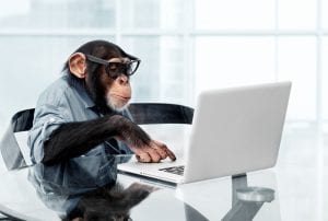 monkey at laptop