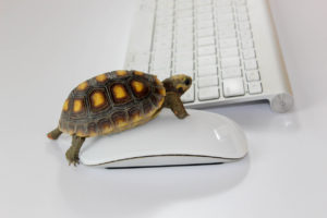 trage computer
