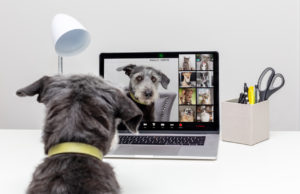 filmen met webcam