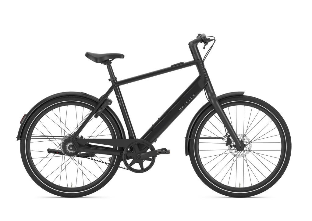 Gazelle Curb