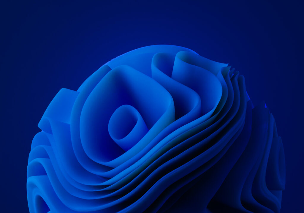 Windows 11