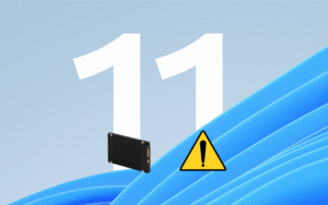 Windows 11