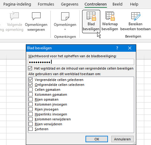 Excel Blad beveiligen