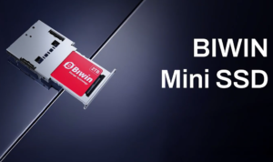 Mini SSD